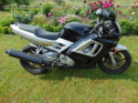 HONDA CBR600 PC31 F3 KLAKSON