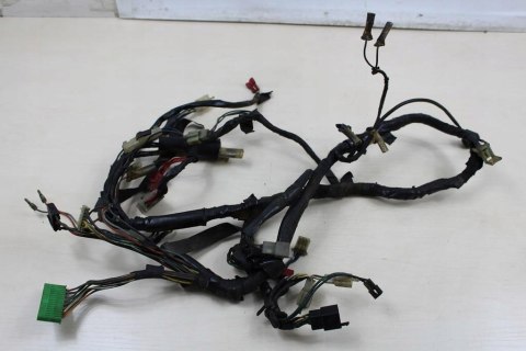HONDA VT750 SHADOW RC14 WIĄZKA ELEKTRYCZNA