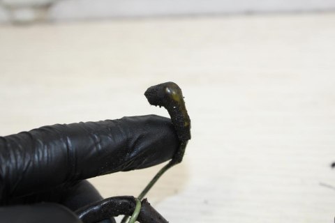 KAWASAKI GPX600 R STOJAN ALTERNATOR STATOR