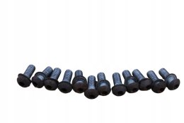 BMW K1100 LT ŚRUBY TARCZY HAMULCOWYCH PRZÓD